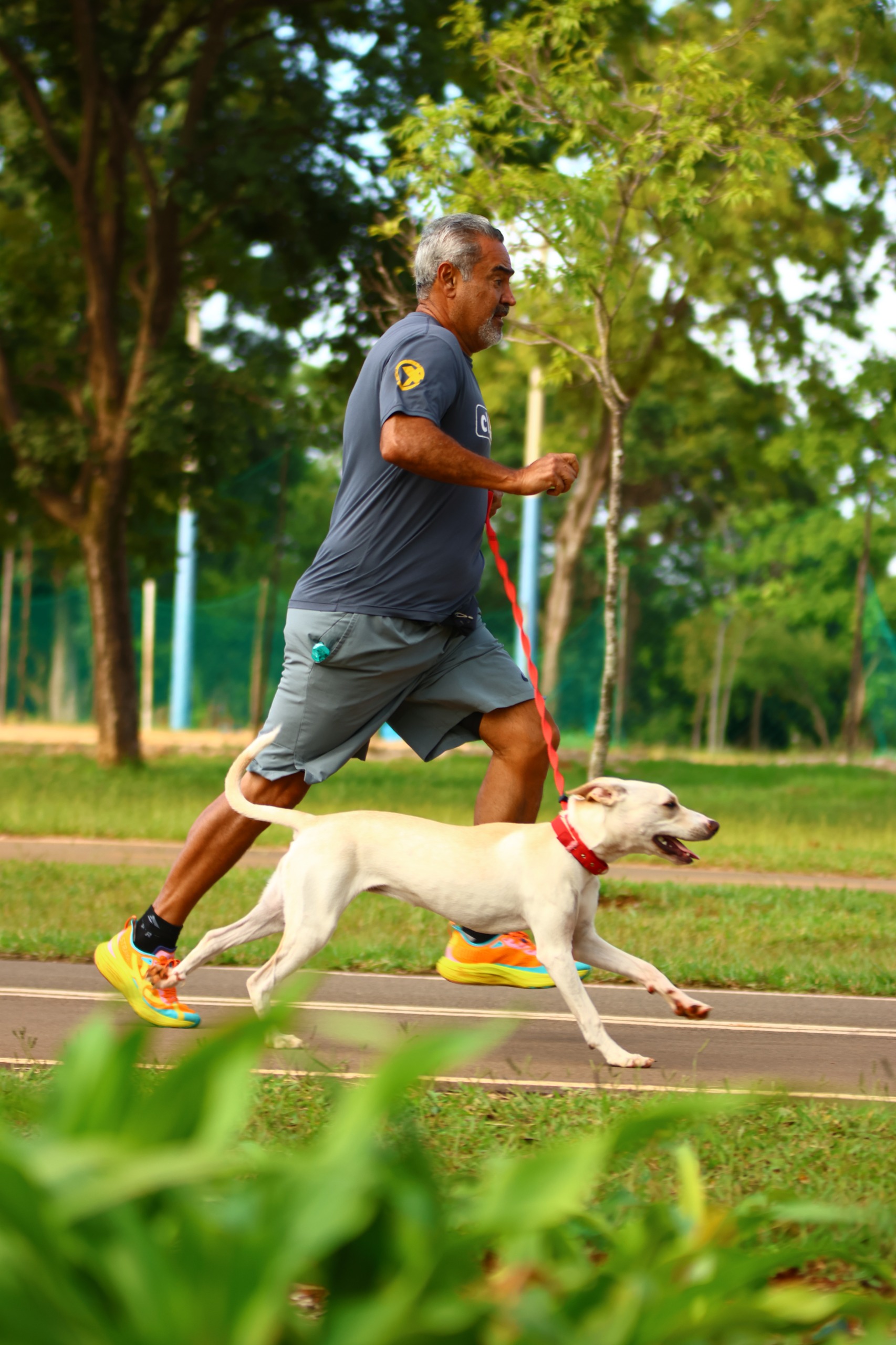 Corrida com pet